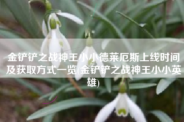金铲铲之战神王小小德莱厄斯上线时间及获取方式一览(金铲铲之战神王小小英雄)