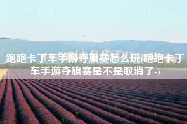 跑跑卡丁车手游夺旗赛怎么玩(跑跑卡丁车手游夺旗赛是不是取消了-)