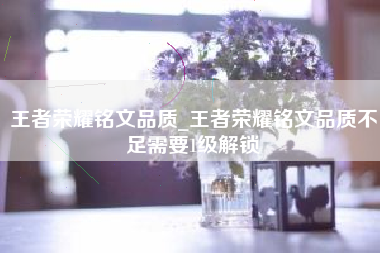 王者荣耀铭文品质_王者荣耀铭文品质不足需要1级解锁