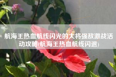 航海王热血航线闪光的大将强敌激战活动攻略(航海王热血航线闪退)