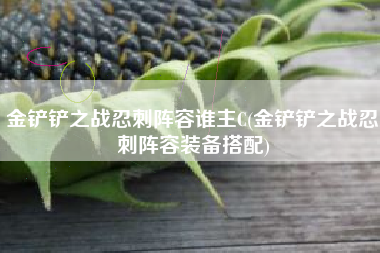 金铲铲之战忍刺阵容谁主C(金铲铲之战忍刺阵容装备搭配)