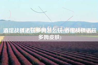 酒馆战棋诺兹多姆怎么玩(酒馆战棋诺兹多姆皮肤)