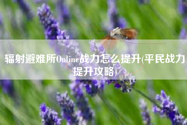 辐射避难所Online战力怎么提升(平民战力提升攻略)