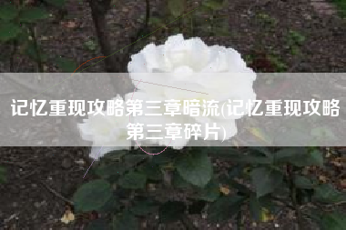 记忆重现攻略第三章暗流(记忆重现攻略第三章碎片)