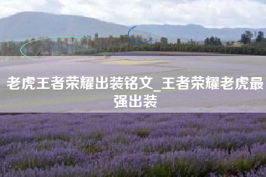 老虎王者荣耀出装铭文_王者荣耀老虎最强出装