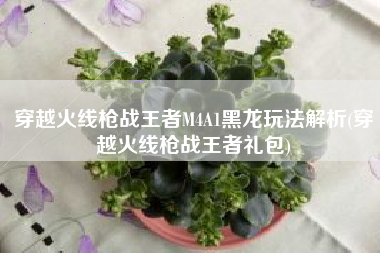 穿越火线枪战王者M4A1黑龙玩法解析(穿越火线枪战王者礼包)