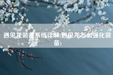遇见龙装备系统详解(遇见龙怎么强化装备)