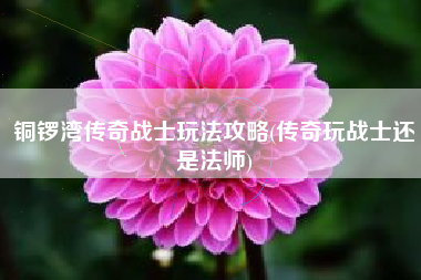 铜锣湾传奇战士玩法攻略(传奇玩战士还是法师)