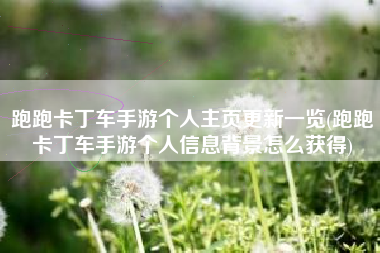 跑跑卡丁车手游个人主页更新一览(跑跑卡丁车手游个人信息背景怎么获得)