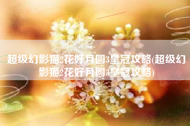 超级幻影猫2花好月圆3皇冠攻略(超级幻影猫2花好月圆3皇冠攻略)