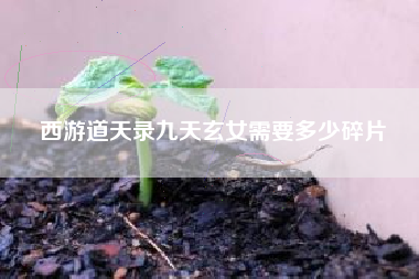 西游道天录九天玄女需要多少碎片