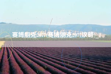 赛博朋克2077(赛博朋克2077攻略)_1