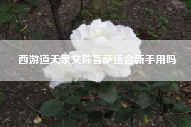 西游道天录文殊菩萨适合新手用吗