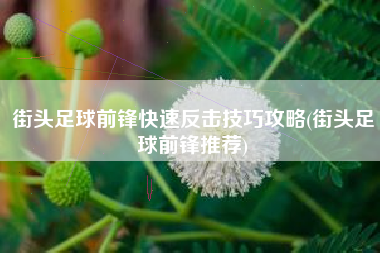 街头足球前锋快速反击技巧攻略(街头足球前锋推荐)