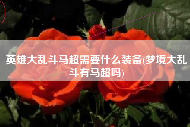 英雄大乱斗马超需要什么装备(梦境大乱斗有马超吗)