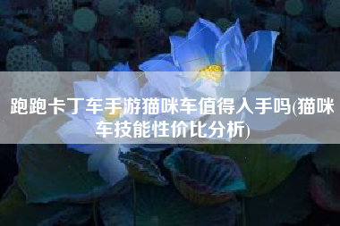 跑跑卡丁车手游猫咪车值得入手吗(猫咪车技能性价比分析)