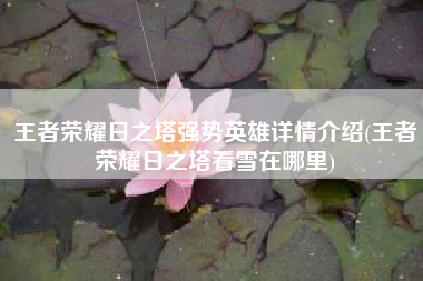 王者荣耀日之塔强势英雄详情介绍(王者荣耀日之塔看雪在哪里)