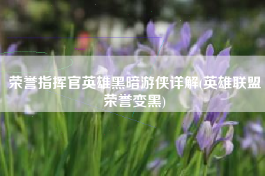 荣誉指挥官英雄黑暗游侠详解(英雄联盟荣誉变黑)