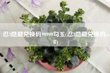 忍3隐藏兑换码99999勾玉(忍3隐藏兑换码ssR)