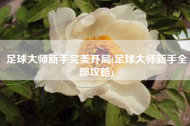 足球大师新手完美开局(足球大师新手全部攻略)