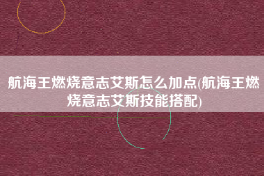 航海王燃烧意志艾斯怎么加点(航海王燃烧意志艾斯技能搭配)