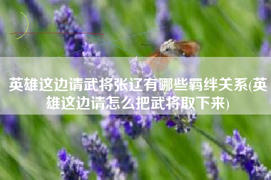 英雄这边请武将张辽有哪些羁绊关系(英雄这边请怎么把武将取下来)
