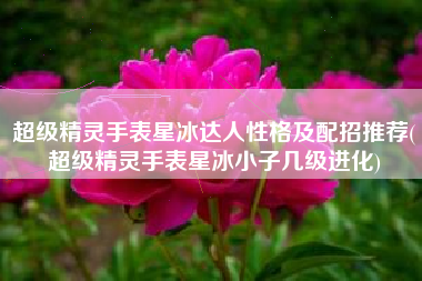 超级精灵手表星冰达人性格及配招推荐(超级精灵手表星冰小子几级进化)
