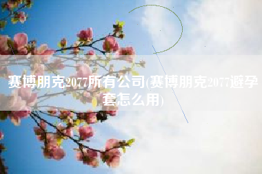 赛博朋克2077所有公司(赛博朋克2077避孕套怎么用)