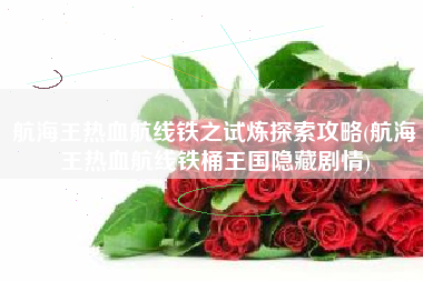 航海王热血航线铁之试炼探索攻略(航海王热血航线铁桶王国隐藏剧情)