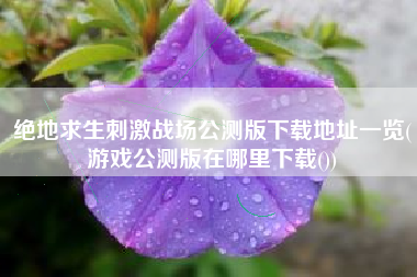 绝地求生刺激战场公测版下载地址一览(游戏公测版在哪里下载())