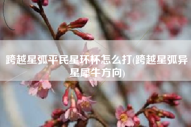 跨越星弧平民星环杯怎么打(跨越星弧异星犀牛方向)