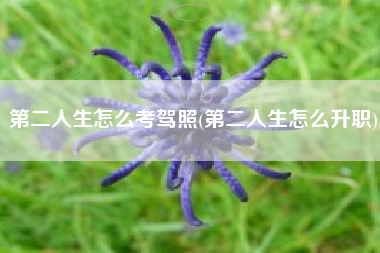第二人生怎么考驾照(第二人生怎么升职)