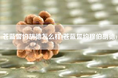 苍蓝誓约胡德怎么样(苍蓝誓约穆伯胡德)