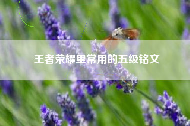 王者荣耀里常用的五级铭文