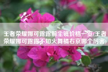 王者荣耀娜可露露前尘镜价格一览(王者荣耀娜可露露不知火舞橘右京哪个厉害)