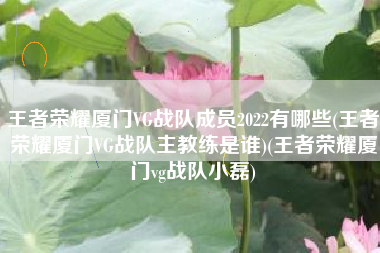 王者荣耀厦门VG战队成员2022有哪些(王者荣耀厦门VG战队主教练是谁)(王者荣耀厦门vg战队小磊)