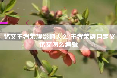 铭文王者荣耀影响大么(王者荣耀自定义铭文怎么编辑)
