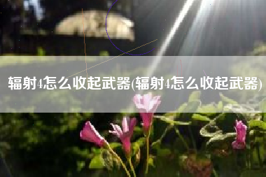 辐射4怎么收起武器(辐射4怎么收起武器)