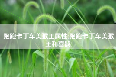 跑跑卡丁车美猴王属性(跑跑卡丁车美猴王和喜鹊)