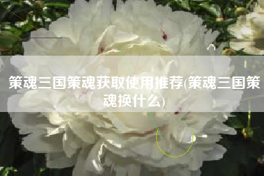 策魂三国策魂获取使用推荐(策魂三国策魂换什么)