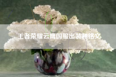 王者荣耀云鹰国服出装和铭文