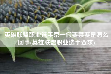 英雄联盟职业选手京一假赛禁赛是怎么回事(英雄联盟职业选手要求)