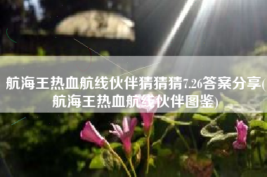 航海王热血航线伙伴猜猜猜7.26答案分享(航海王热血航线伙伴图鉴)