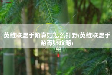英雄联盟手游寡妇怎么打野(英雄联盟手游寡妇攻略)
