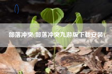 部落冲突(部落冲突九游版下载安装)