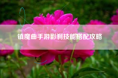 镇魔曲手游影刹技能搭配攻略