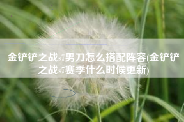 金铲铲之战s7男刀怎么搭配阵容(金铲铲之战s7赛季什么时候更新)