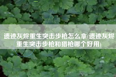 遗迹灰烬重生突击步枪怎么拿(遗迹灰烬重生突击步枪和猎枪哪个好用)