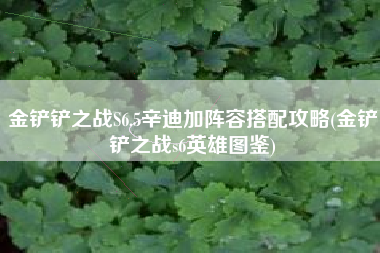 金铲铲之战S6.5辛迪加阵容搭配攻略(金铲铲之战s6英雄图鉴)