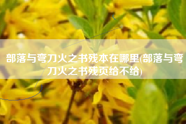 部落与弯刀火之书残本在哪里(部落与弯刀火之书残页给不给)